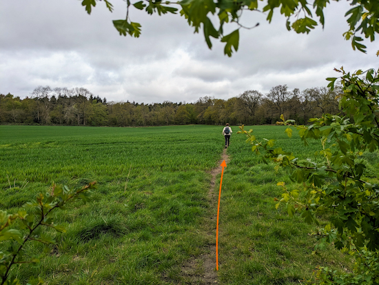 Continue on Hatfield footpath 48 until you reach woodland