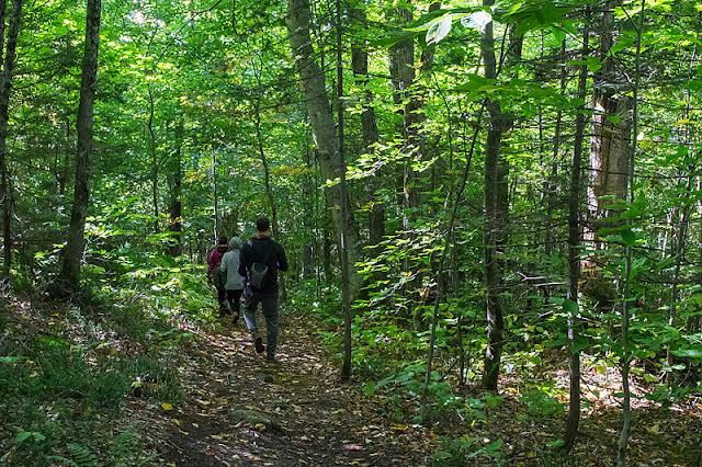 Sentier de randonnée au mont Sourire