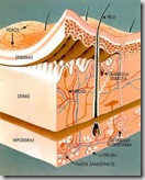 doenca-1