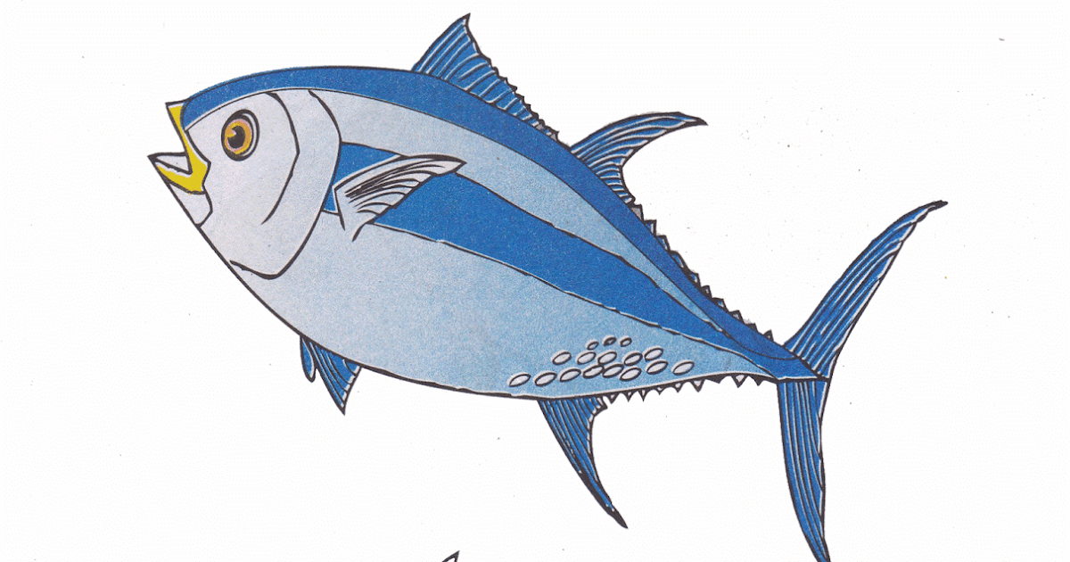  Gambar  Mewarnai Ikan  Tuna  Untuk Anak PAUD dan TK
