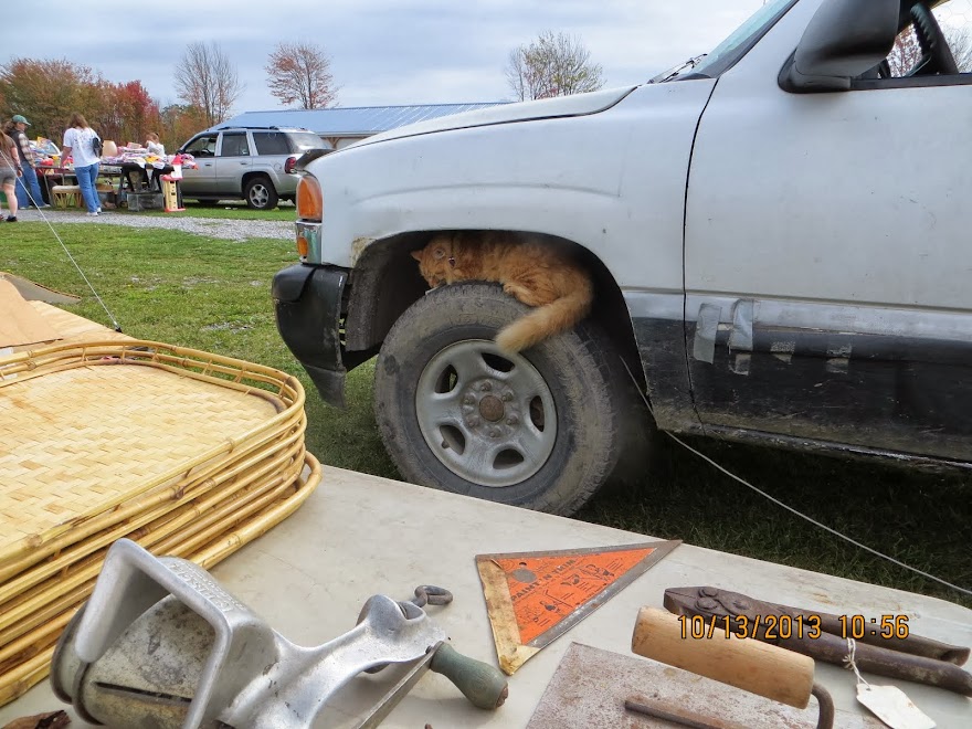An Andover Ohio flea market find. Pussy on a Tire ! That's Weird !