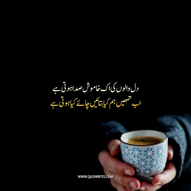 Chai Poetry | Best Tea Poetry in Urdu 2 Lines |Chai Shayari | Qasiwrites