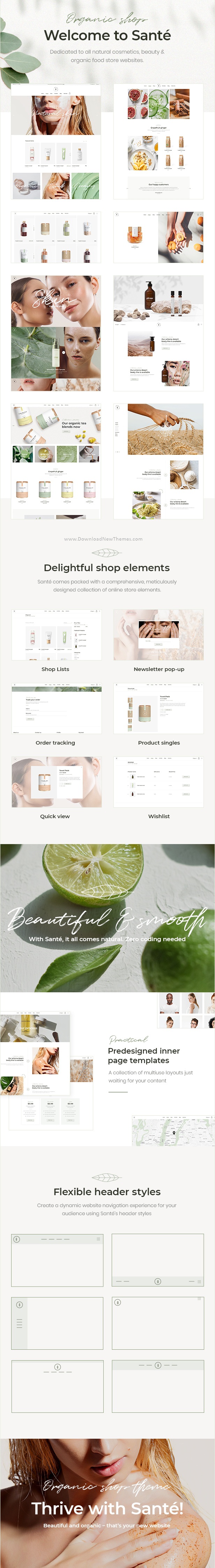 Organic Shop WooCommerce WordPress Theme