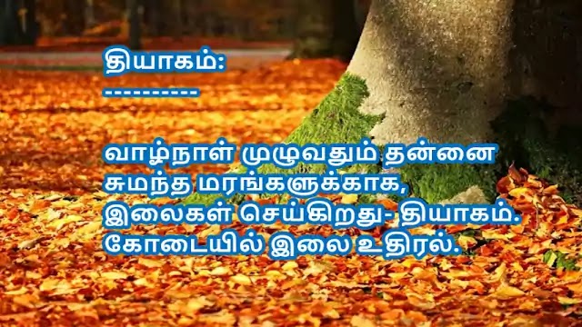 Tamil Haiku Kavithai 175