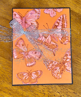 Stampin Stace, STampin Up, Butterfly Brilliance