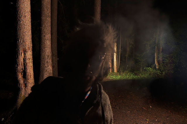 what the hell, scary picture, bettlejuice, forest, at night, dark image