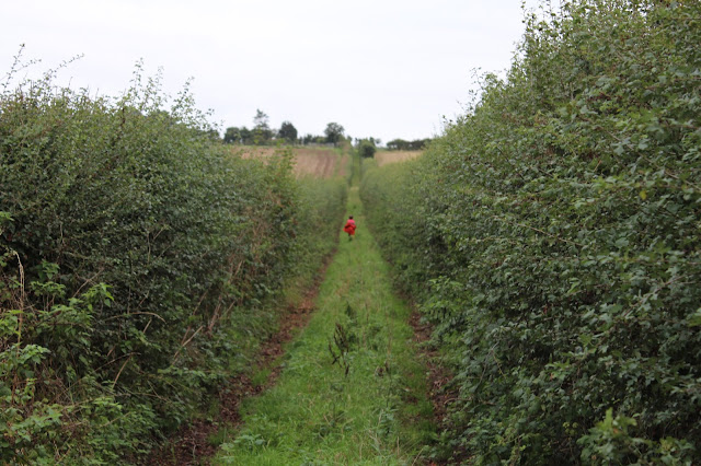 Countryside at Westbere Lakes, Kent