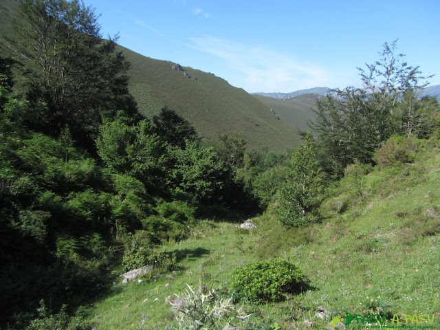 Bajando junto al arroyo Vallinas