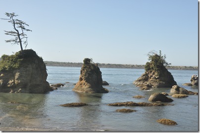 South Beach State Park, OR 008