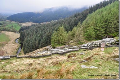 Montañas de Wicklow. Sally Gap - DSC_0067