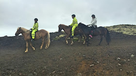 horse riding Reykjavik