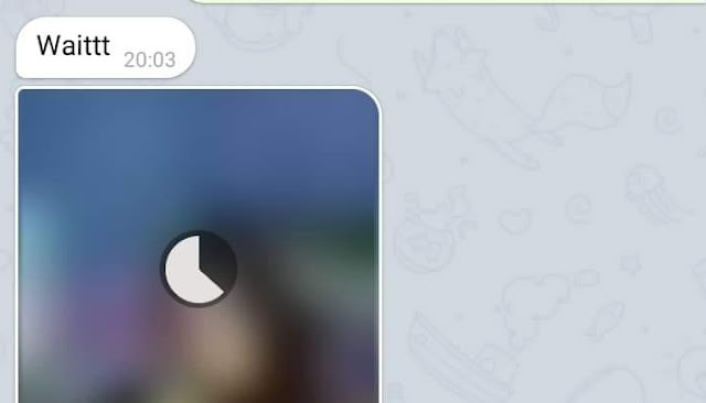 Penyebab Foto dan Gambar Blur atau Buram Saat Menggunakan Fitur Waktu Penghancur Otomatis di Telegram