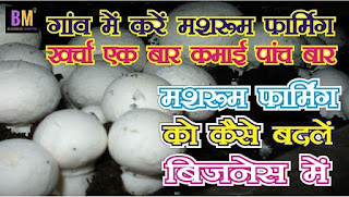 #businessmantra #graminbusiness #mushroomfarming