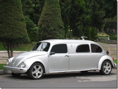 fusca variações exoticas (15)