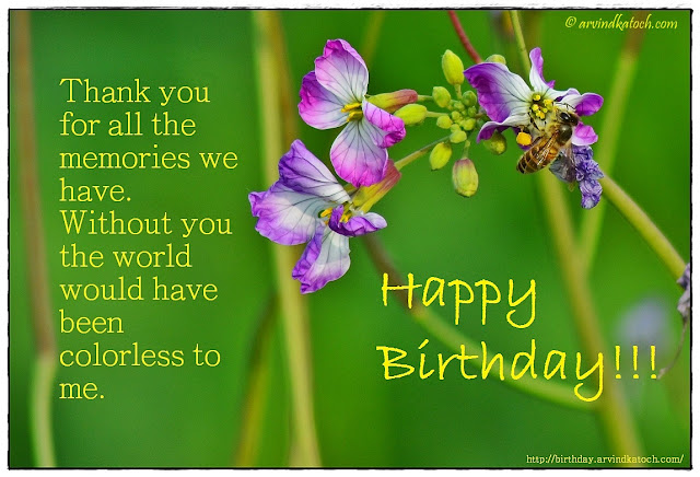 Beautiful Flower, Bee, Birthday Card, Thank you, memories, colorless, Happy Birthday, Birthday