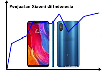 Penjualan Smartphone Xiaomi di Indonesia dari tahun ke tahun