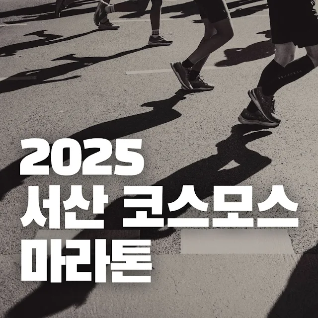 2025 서산 코스모스 황금들녘 마라톤 대회
