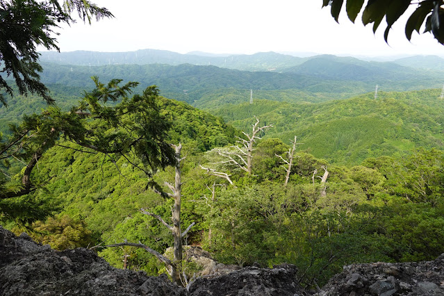 鳥取県西伯郡南部町八金 金華山登山道からの眺望