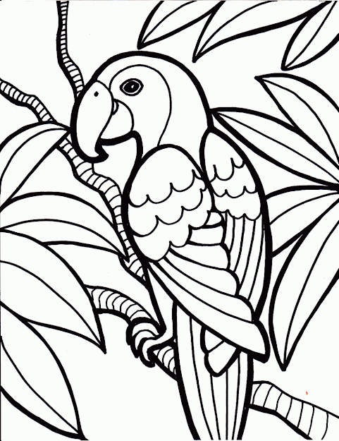 May Coloring Pages Cool May Coloring Pages Free Printable For Kid  Free  Coloring Book