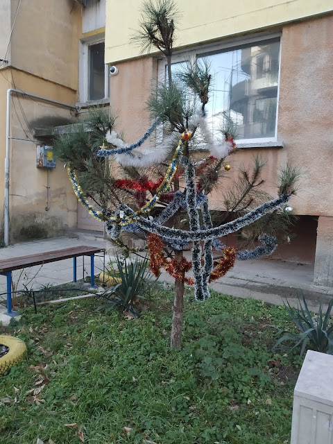 Local Neighborhood, Christmas Tree, Yambol,
