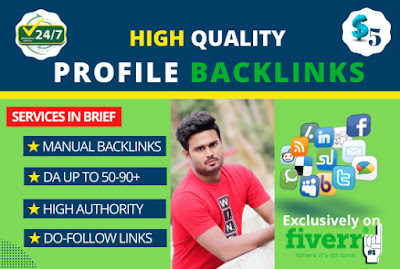I will submit quality profile backlinks for SEO ranking