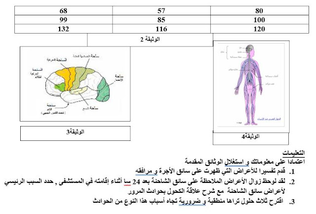 سلسلة من التمارين المختارة للاتصال العصبي لمستوى الرابعة متوسط في العلوم الطبيعية