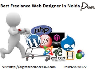 Best Freelance Web Designer in Noida