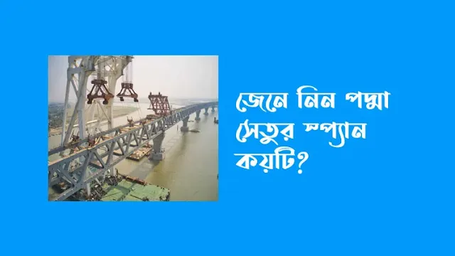 পদ্মা সেতুর স্প্যান কয়টি?