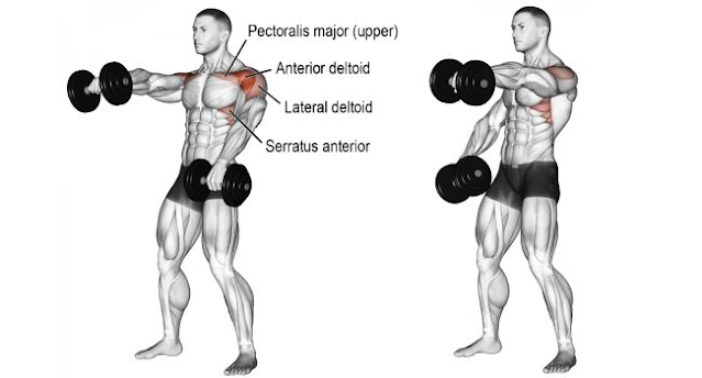 FRONT DUMBBELL RAISE