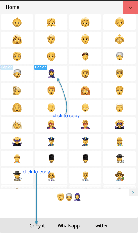 How to Copy 🧕 Peoples Emojis?