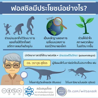 เรื่องน่ารู้ของฟอสซิล [วิทย์สนุกรอบตัว]