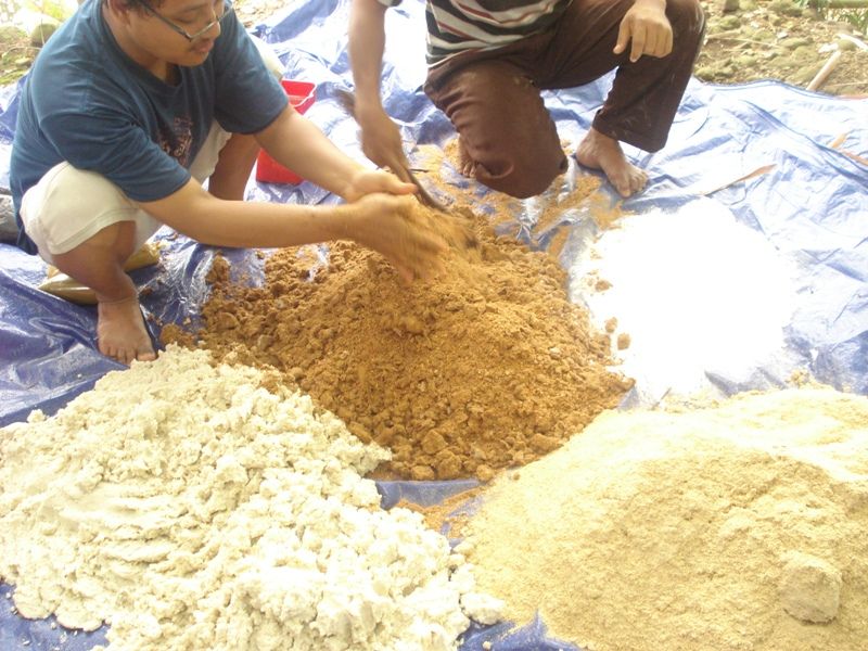 Fermentasi Pakan Bebek Buatan Sendiri Campuran SOC + Gedebok