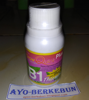 vitamin b1 untuk tanaman