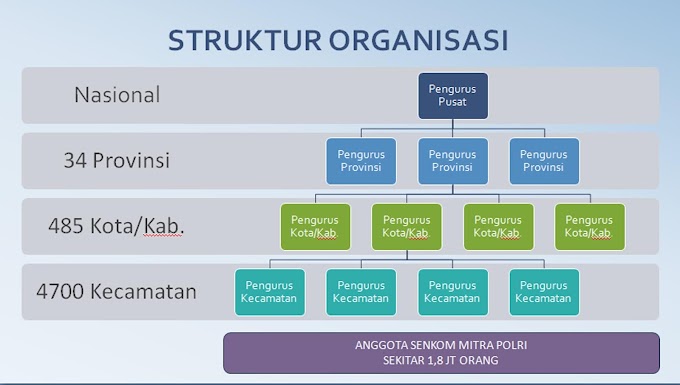 Struktur Organisasi