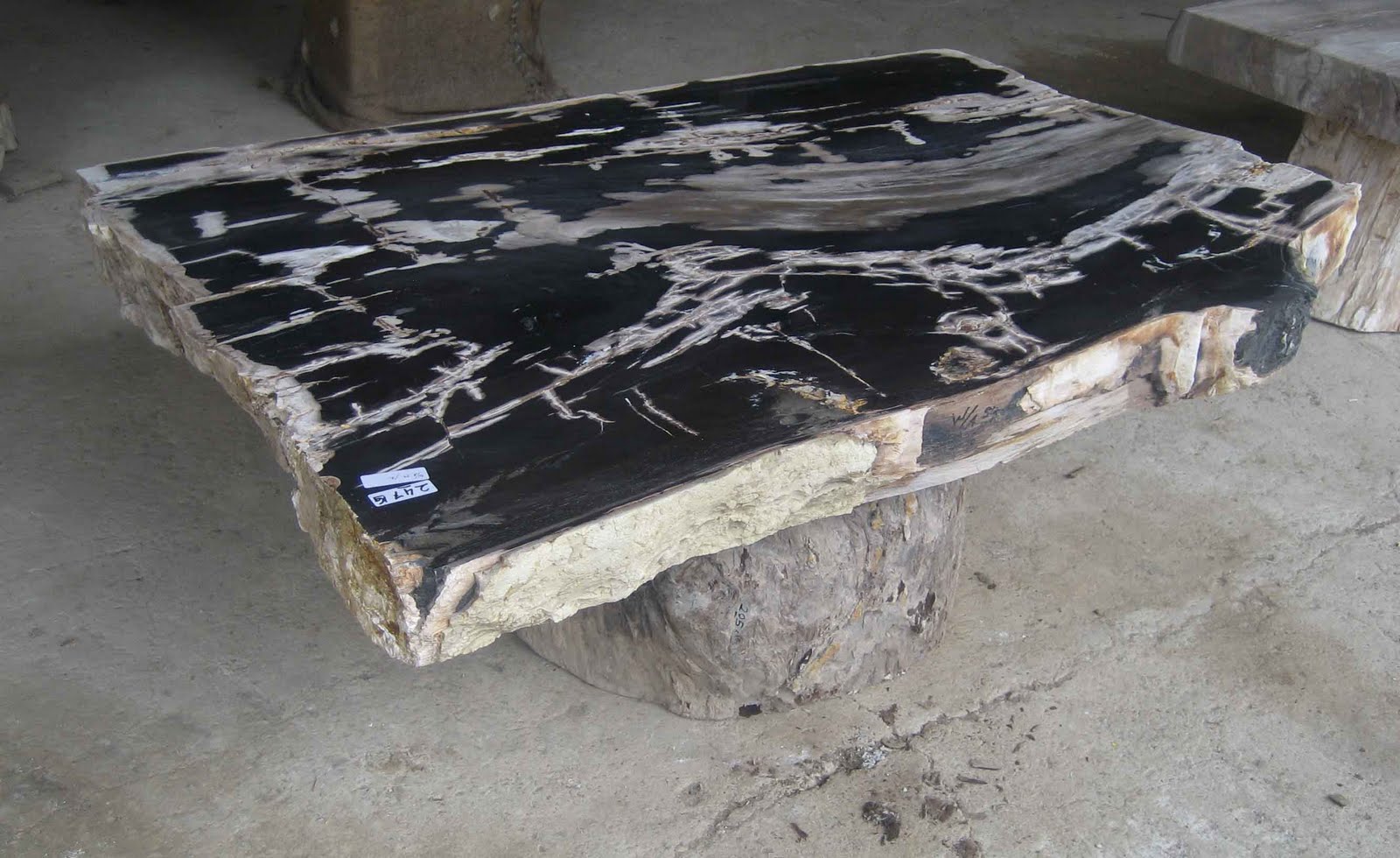 PETRIFIED WOOD TABLE TOP