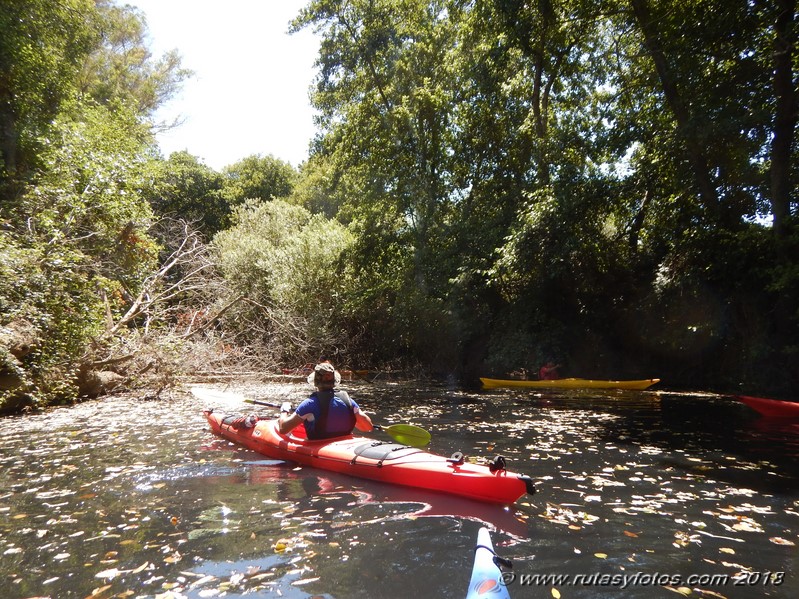 Kayak río Palmones