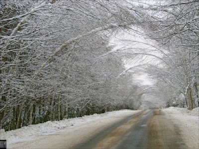 A Compilation of Beautiful Roads Seen On www.coolpicturegallery.net