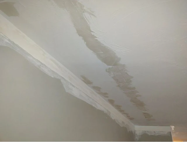 ceiling repair