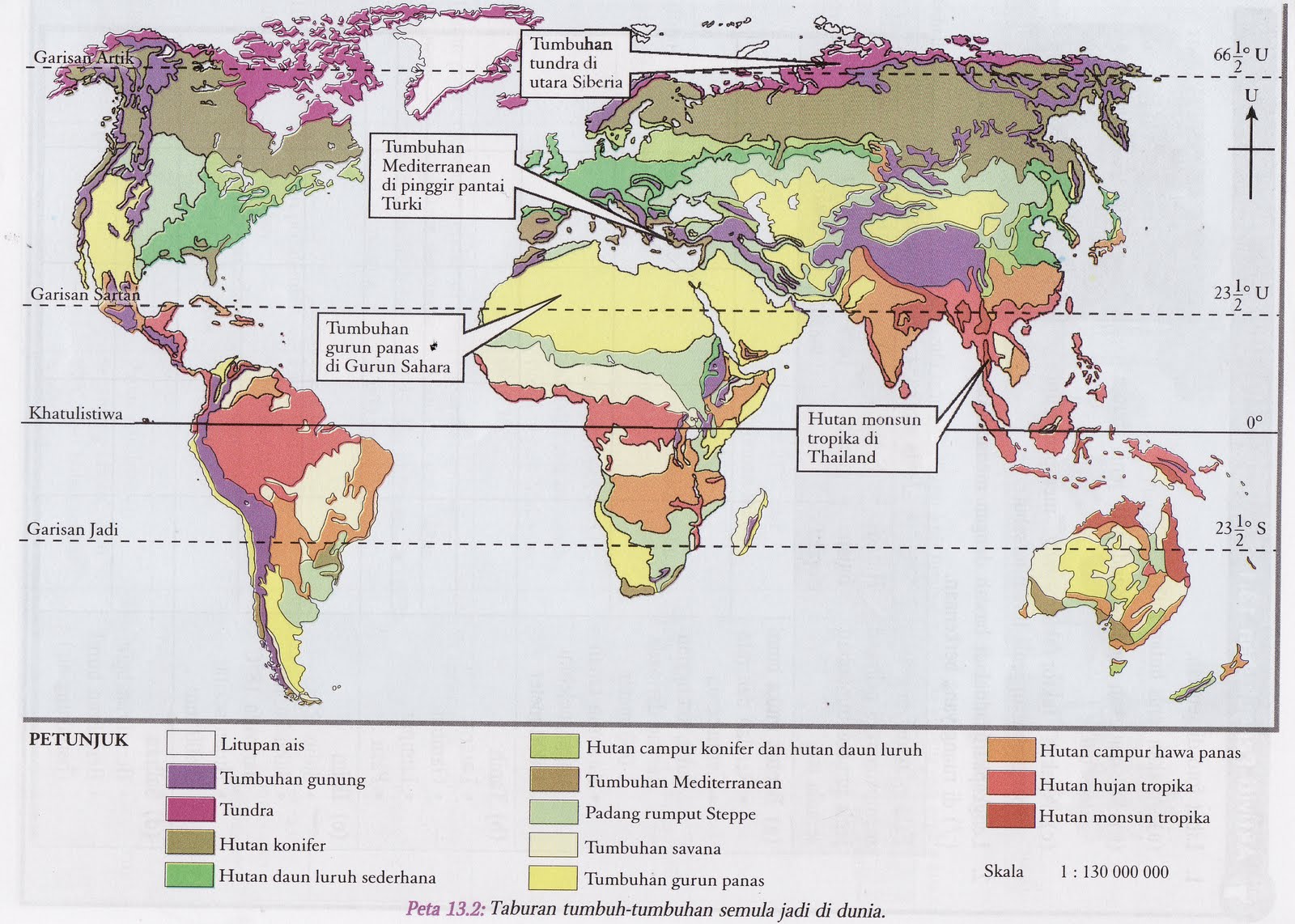  -tumbuhan semula jadi di dunia (Sumber: Buku teks Geografi Ting 1