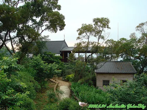 紫微森林｜三峽景觀餐廳｜三峽看夜景的地方｜近天后宮美食餐廳