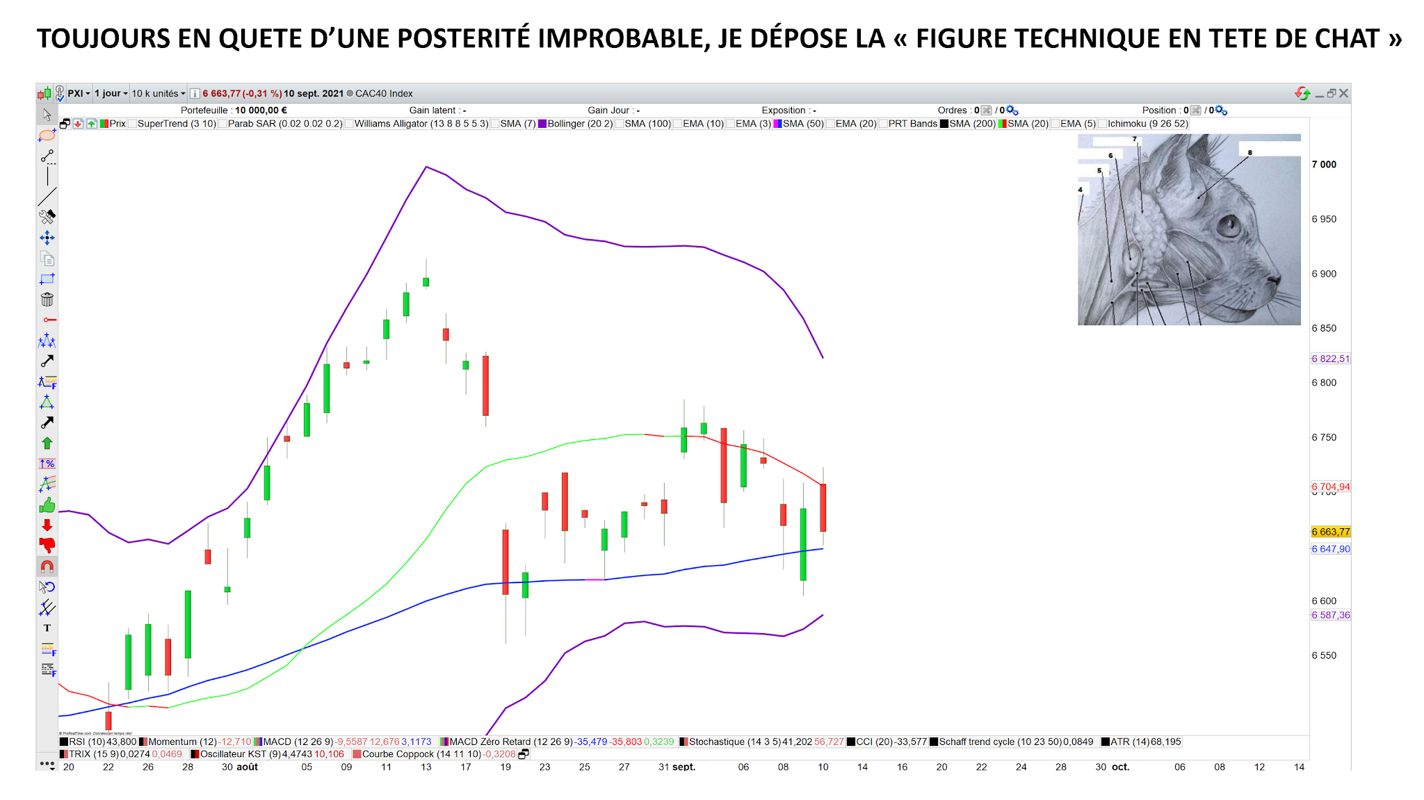 Tete de chat sur le CAC40 12/09/21