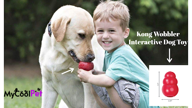 kong wobbler dog feeder