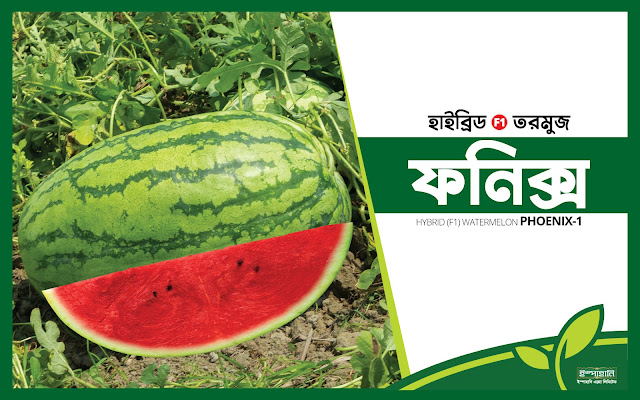 ফনিক্স-১