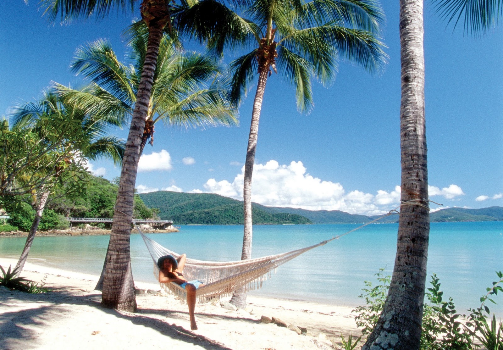 Tropical Beach Hammock