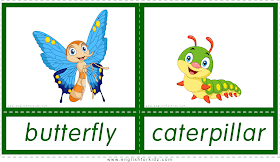 Animals and their babies -- butterfly - caterpillar -- printable flashcards