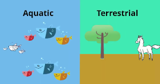 terrestial and aquatic biomes