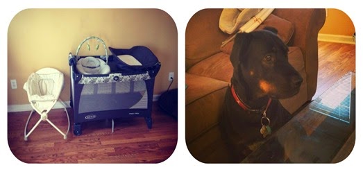 packandplaycollage
