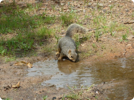 Petit Jean State Park, AR 051