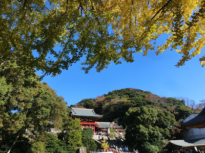  鶴岡八幡宮