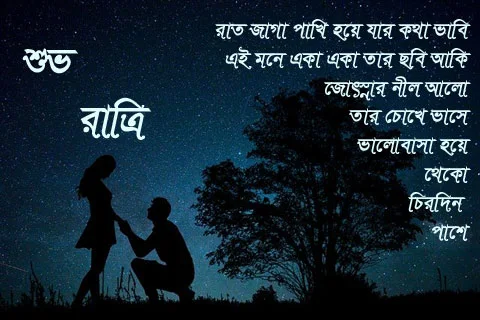 Good Night Image In Bengali